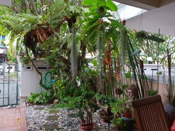 Villa Verde (D23), Terrace #182173242